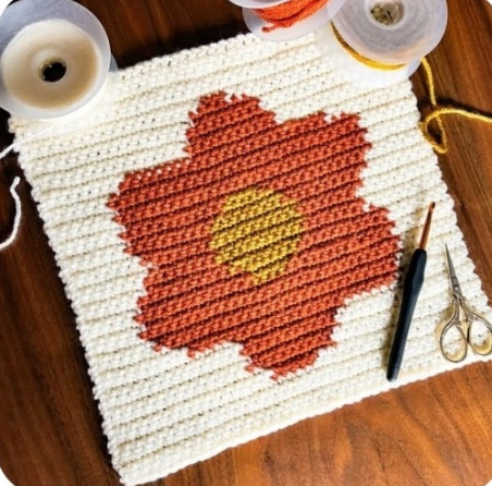 Taller de Crochet Intarsia